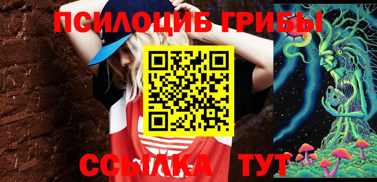 Псилоцибиновые грибы GOLDEN TEACHER Минусинск