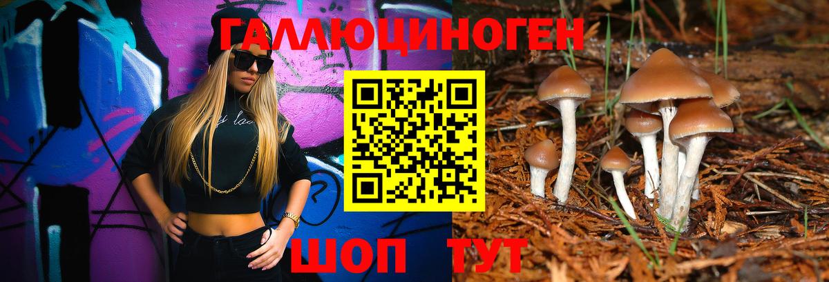 Минусинск  Галлюциногенные грибы прущие грибы  Вход с VPN  Галлюциногенные грибы GOLDEN TEACHER 